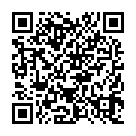 QR code for DP2919