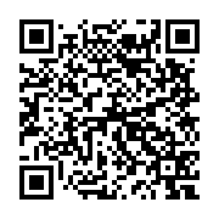 QR code for DP3575