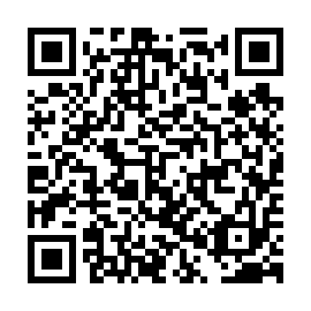 QR code for plate DP 3613