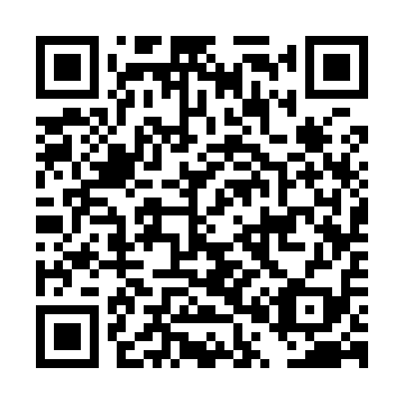 QR code for DP3919