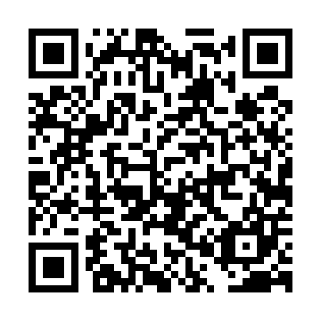 QR code for DP4507
