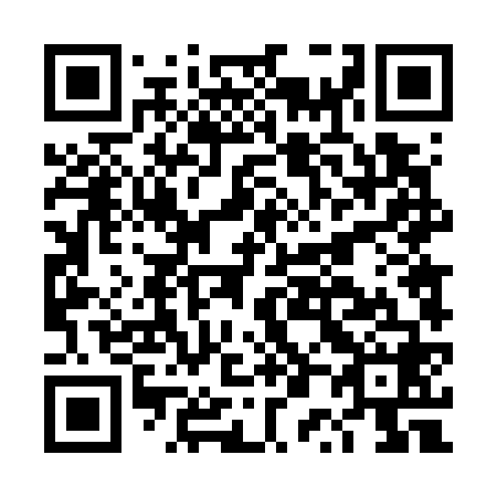 QR code for plate DP 4768