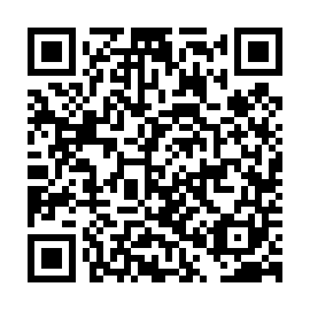 QR code for DP6441