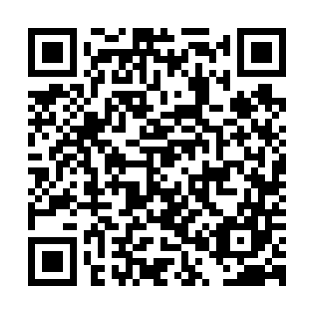 QR code for DP6647