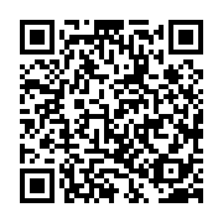 QR code for DP8138