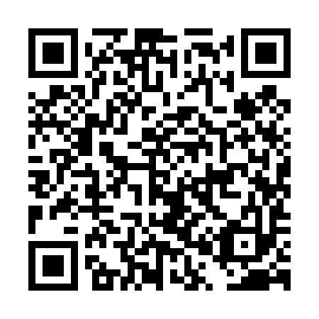 QR code for DP9493