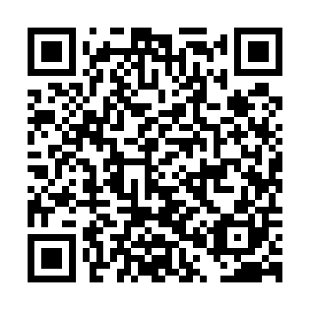 QR code for DP9500