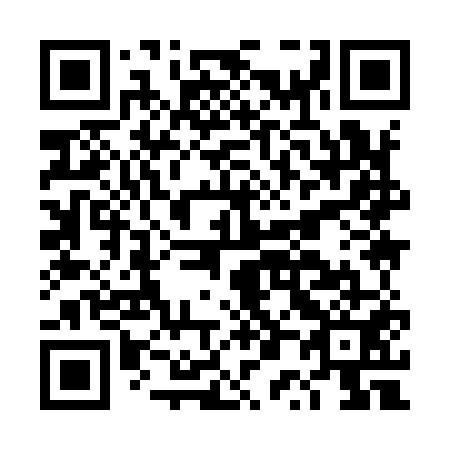 QR code for plate DP 9951