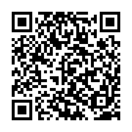 QR code for plate DPA 392