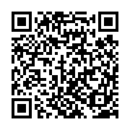 QR code for plate DPB 673