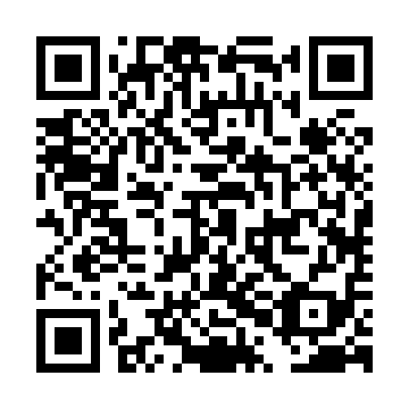 QR code for plate DPB 819