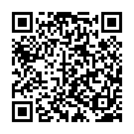 QR code for plate DPD 013