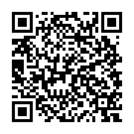 QR code for DPF 314