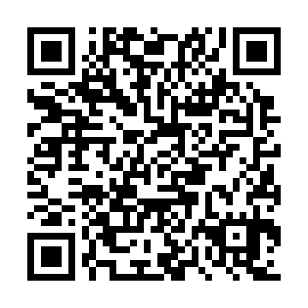 QR code for plate DPF 335
