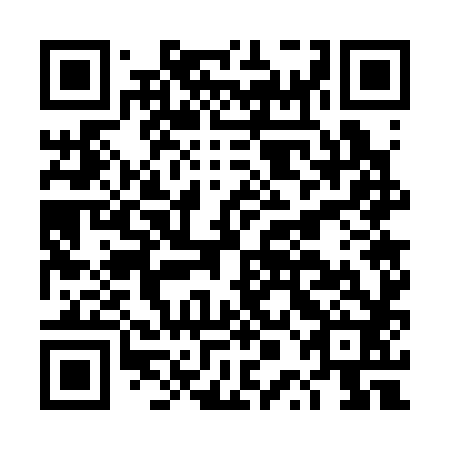 QR code for plate DPG 382