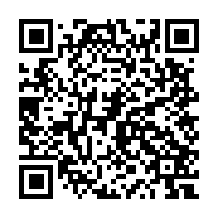 QR code for plate DPG 503