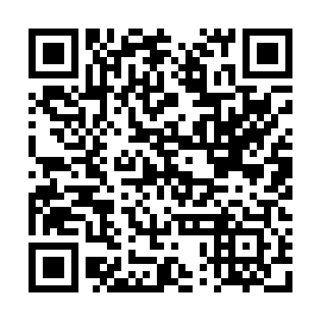 QR code for DPI 003