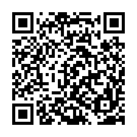 QR code for DPI 296