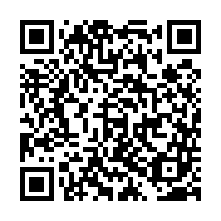 QR code for DPI 543