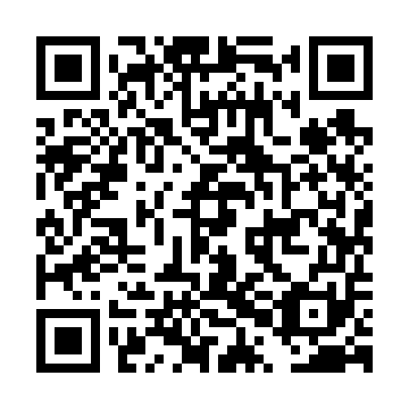 QR code for DPI 651