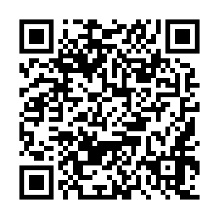 QR code for DPI 856