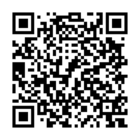 QR code for DPI010