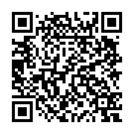 QR code for DPI436