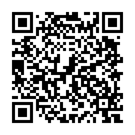 QR code for DPI497
