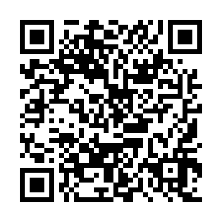 QR code for plate DPI 516