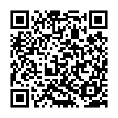 QR code for DPI655