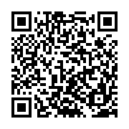 QR code for plate DPI 916
