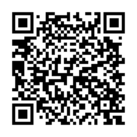 QR code for plate DPJ 047