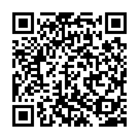 QR code for plate DPJ 739