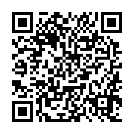 QR code for plate DPK 394