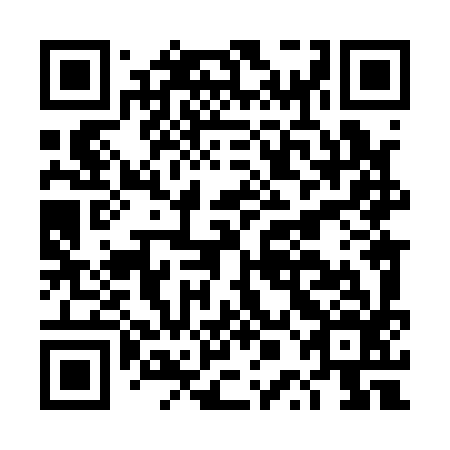 QR code for DPL 196