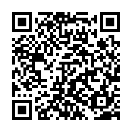 QR code for DPL334