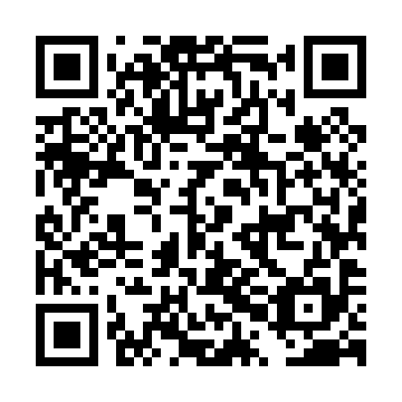 QR code for DPM 095