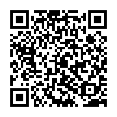 QR code for DPM 199