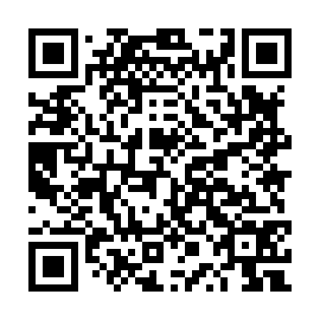 QR code for plate DPM 874
