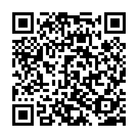 QR code for DPO028