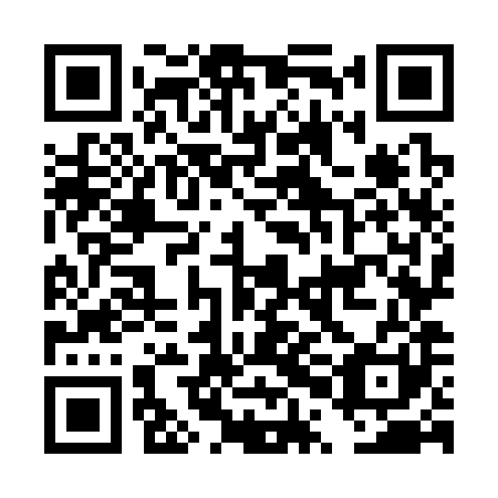 QR code for DPO381