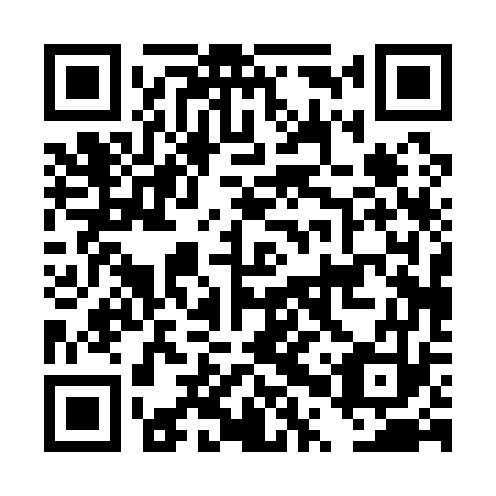 QR code for DPP 173