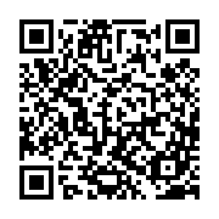 QR code for DPP 447