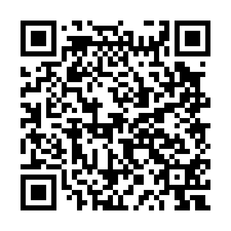 QR code for DPP010