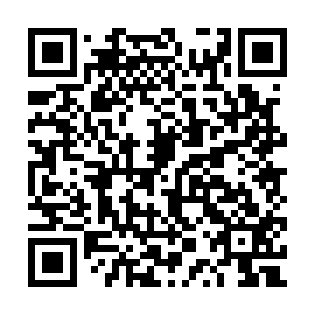 QR code for plate DPP 113