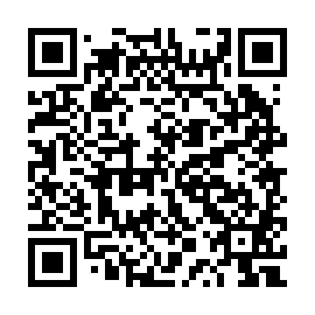 QR code for plate DPP 281