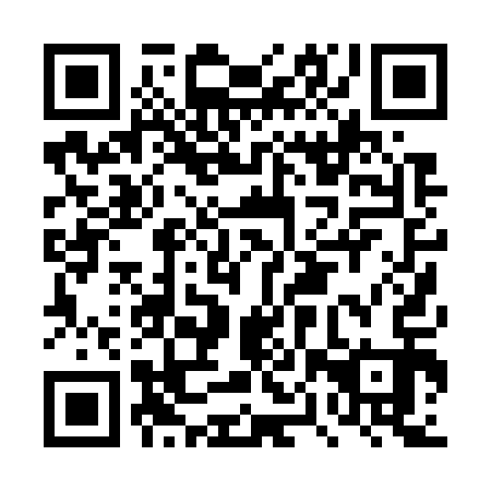 QR code for DPP713