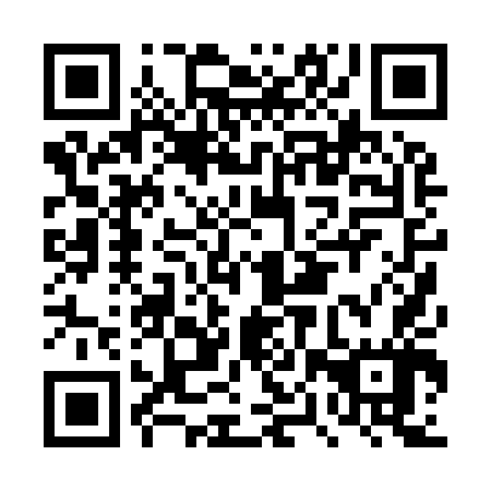 QR code for DPP947