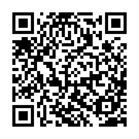 QR code for DPP985