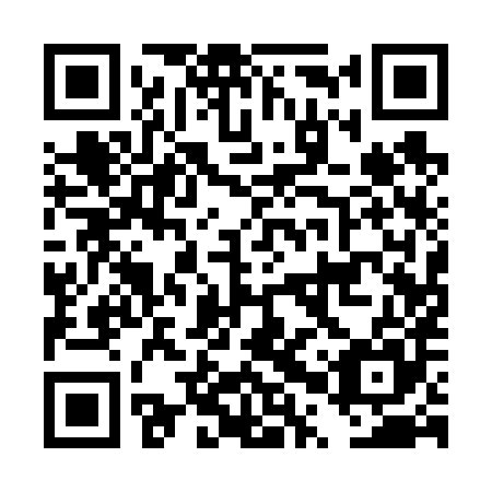QR code for DPQ 685